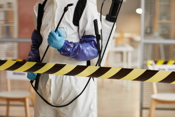 Professional Hoarding Cleanup technician working in Center, TX